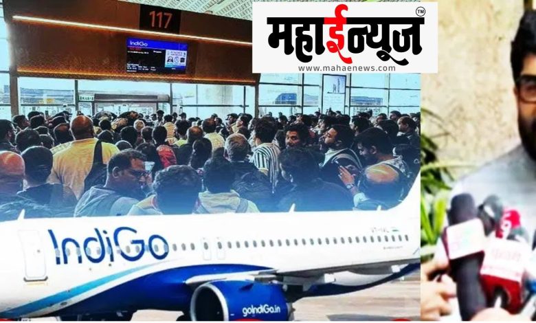 Indigo, what, action,