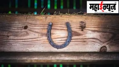 Vastu Shastra, Horse, Horseshoe, Fortune, Progress, Symbol,