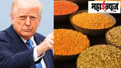 America, imports, pulses, 30 percent, tariff,