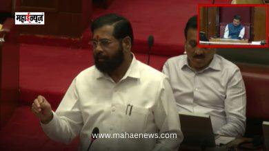 Maharashtra's development journey will not stop; Deputy Chief Minister Eknath Shinde assures in the Legislative Council