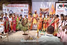 Women in Jawali celebrated Shiv Jayanti by bringing "Shiv Jyot"