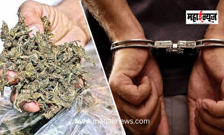 One arrested in Charholi ganja sale case; Anti-narcotics squad takes action