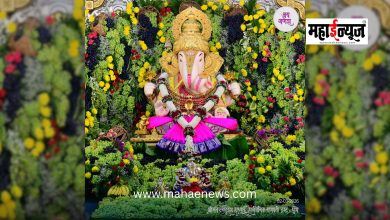 Rich Dagdusheth Halwai offers 2,000 kg of grapes to Lord Ganesha
