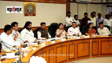 Accelerate development works in Pimpri-Chinchwad: Minister of State Madhuri Misal