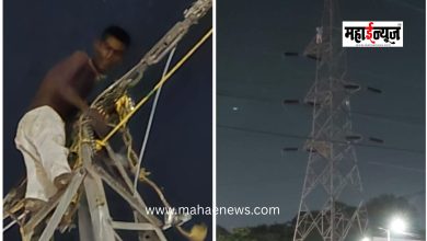 Drunk Youth Stages 'High-Voltage' Drama on High-Tension Pylon for Three Hours
