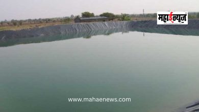 Heartbreaking Incident in Junnar: Two Young Children Drown in Farm Pond