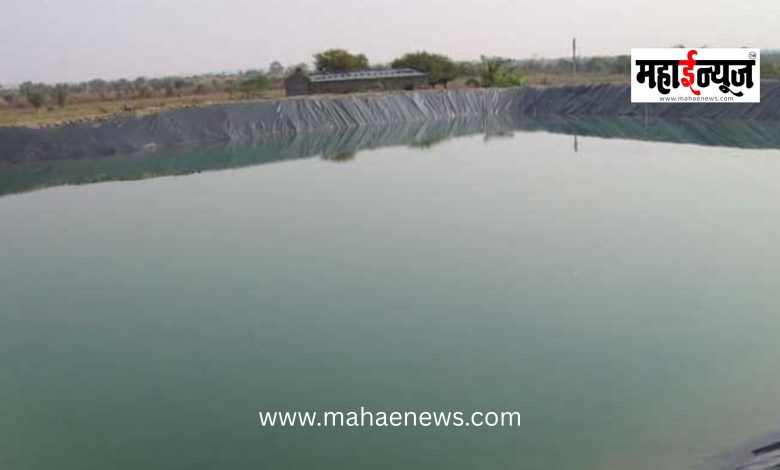 Heartbreaking Incident in Junnar: Two Young Children Drown in Farm Pond