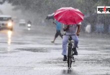 Stormy Rain Warning for the State; 'Yellow Alert' Issued for Several Districts