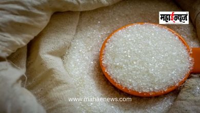 Ban on Sugar Exports Until September; Major Decision by Central Government