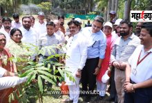 Late Pramodji Mahajan Clean and Green Pimpri-Chinchwad City Scheme to be Launched; Mayor Ravi Landge Announces