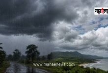 Pre-monsoon rainfall intensifies across the state! 'Yellow Alert' issued today for Pune, Nashik, and 'these' districts.