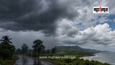 Pre-monsoon rainfall intensifies across the state! 'Yellow Alert' issued today for Pune, Nashik, and 'these' districts.