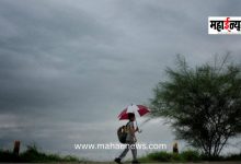 Rain Alert Issued for the State; 'Yellow Alert' for Konkan, Marathwada, and Central Maharashtra.