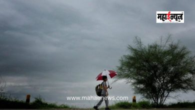 Rain Alert Issued for the State; 'Yellow Alert' for Konkan, Marathwada, and Central Maharashtra.