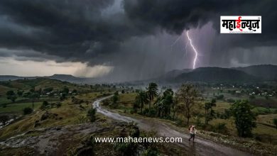 Stormy Rain Expected in Maharashtra Over the Next Two Days