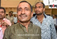 Unnao Rape Case: Supreme Court Puts a Brake on Kuldeep Singh Sengar's Bail