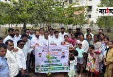 BJP. Tree plantation campaign in Pimpri-Chinchwad on the occasion of 12 years of Modi government