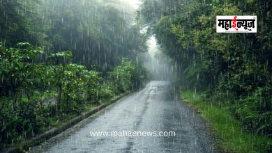 The monsoon is set to become active in Maharashtra over the next 3-4 days.