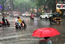 Monsoon to hit Maharashtra within 48 hours! 'Yellow alert' for rain in the state for the next 4 days.