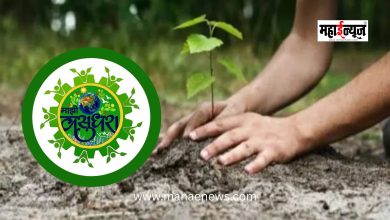 Tree plantation drive organized on Durga Devi Hill on the occasion of Environment Day.