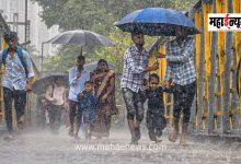Monsoon reactivated in Maharashtra; 'Orange Alert' for Mumbai, Thane, and Pune.