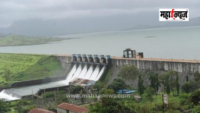 Pavana River Flood Alert | Heavy Rain Causes Waterlogging in Pimpri-Chinchwad