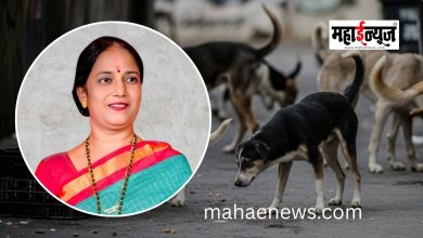 Take measures to control stray dogs; launch a dedicated helpline.