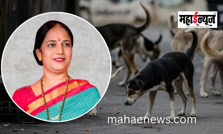 Take measures to control stray dogs; launch a dedicated helpline.