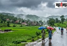 सप्टेंबरच्या सुरुवातीला महाराष्ट्रात पावसाचा जोर वाढणार; विदर्भ-मराठवाड्याला दिलासा मिळणार?