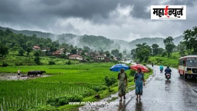 सप्टेंबरच्या सुरुवातीला महाराष्ट्रात पावसाचा जोर वाढणार; विदर्भ-मराठवाड्याला दिलासा मिळणार?