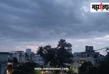 राज्यात पावसाची उघडीप; पुढील ४-५ दिवस मुसळधार पावसाची शक्यता कमी, काही जिल्ह्यांत विजांसह सरी