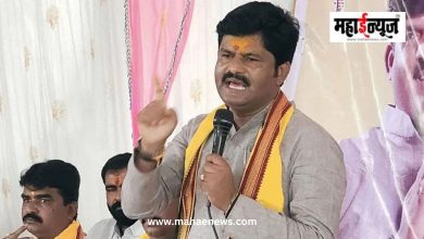 मराठा आंदोलकांनी गोपीचंद पडळकरांचा ताफा अडवला; आरक्षणावर आमदारांनी जाहीर केली भूमिका