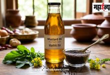 Mustard Oil Benefits : पावसाळा-थंडीत मोहरीच्या तेलाचा वापर फायदेशीर? जाणून घ्या संभाव्य फायदे
