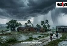 शेतकऱ्यांसाठी दिलासादायक बातमी; विदर्भासह राज्यात पावसाचा जोर वाढणार