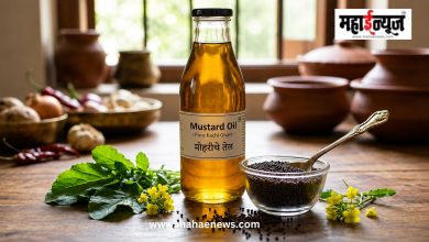 Mustard Oil Benefits : पावसाळा-थंडीत मोहरीच्या तेलाचा वापर फायदेशीर? जाणून घ्या संभाव्य फायदे